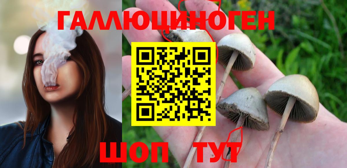 Галлюциногенные грибы мухоморы  Вход с VPN  Кумертау 